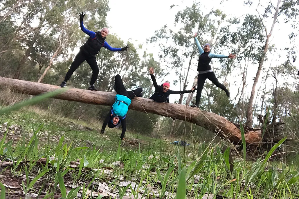 The four walkers having fun on a fallen tree in the bush, one hanging upside down from the log