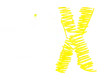 Think Fragile X home